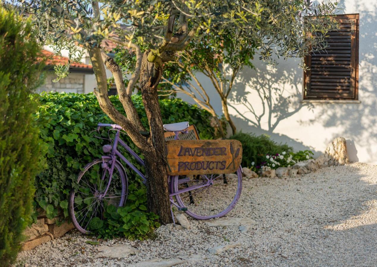 Lavanda Apartments & Room Sveti Lovreč Pazenatički Eksteriør billede